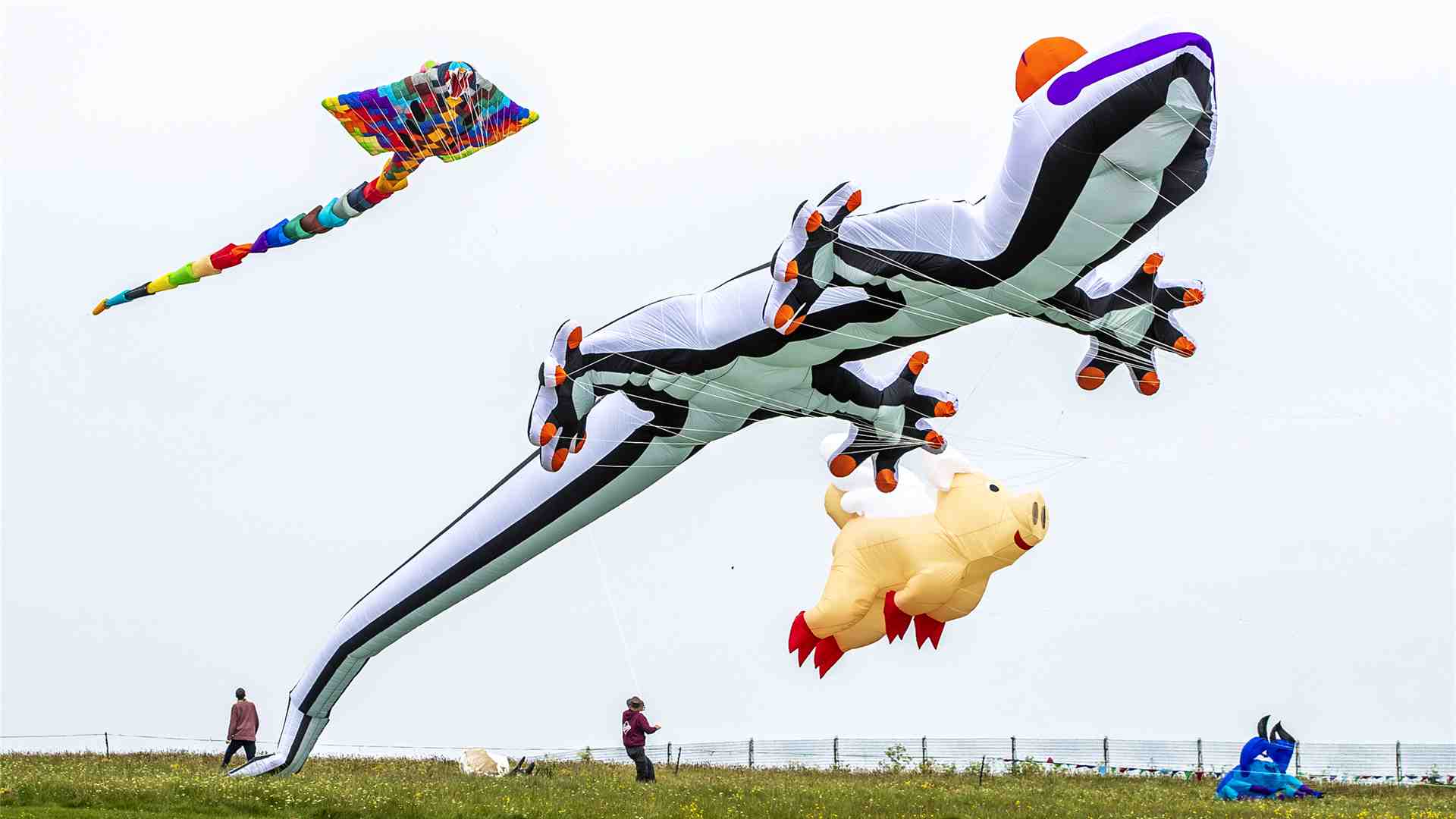 jpg