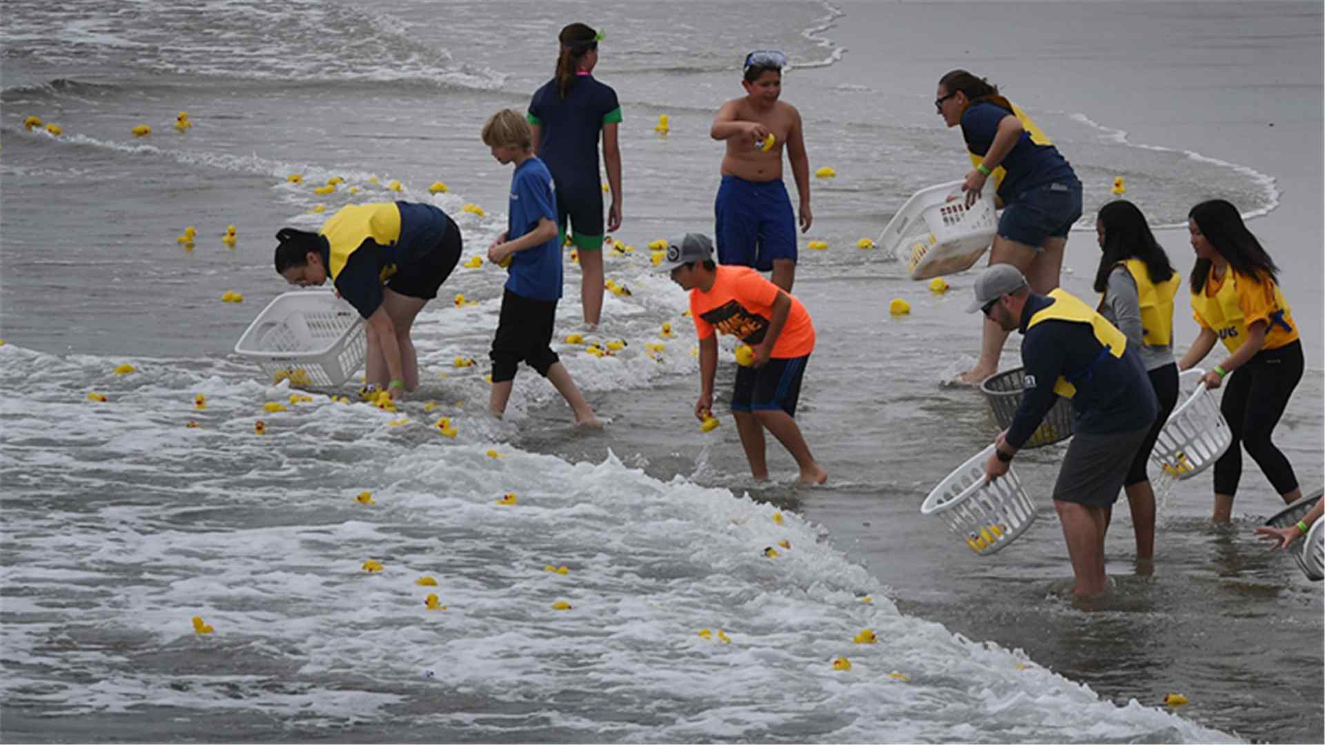 Californie : une course de canards en plastique caritative - CGTN