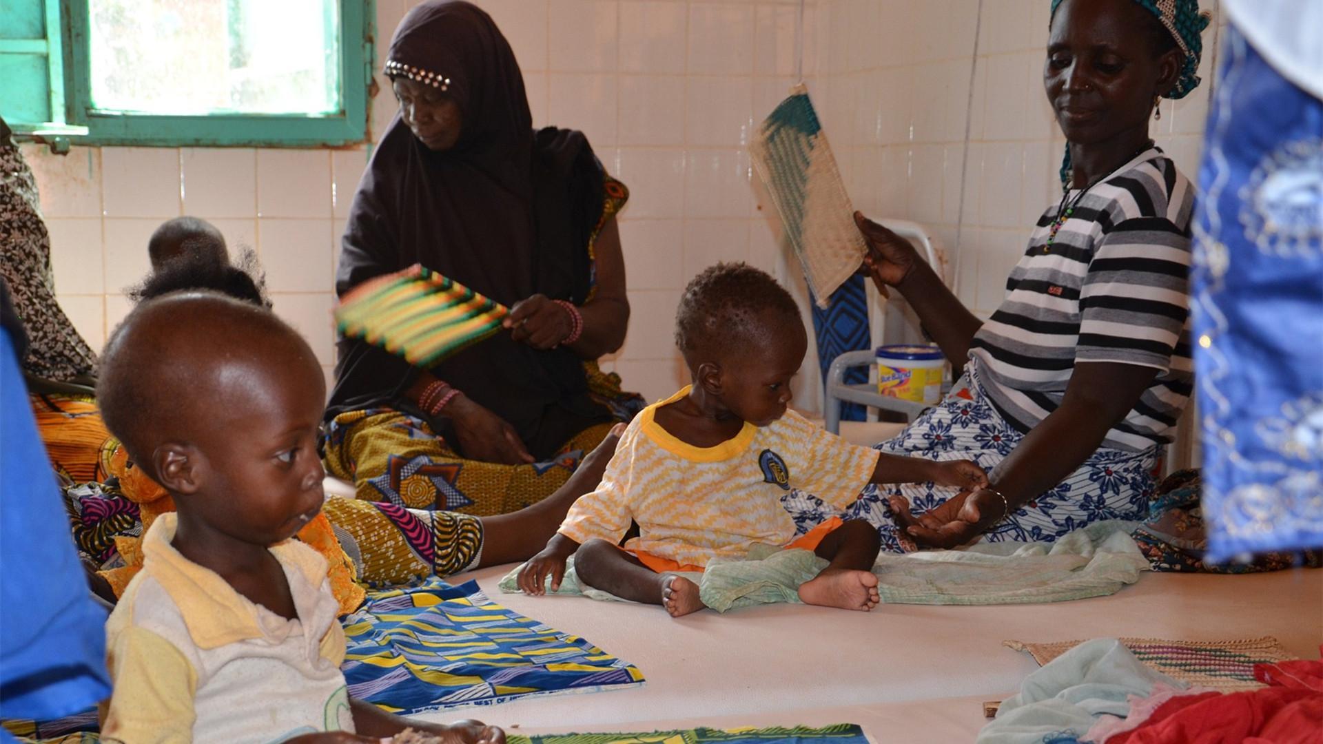 Afrique Du Sud : Mise En Place D'un Programme Visant à Protéger La ...