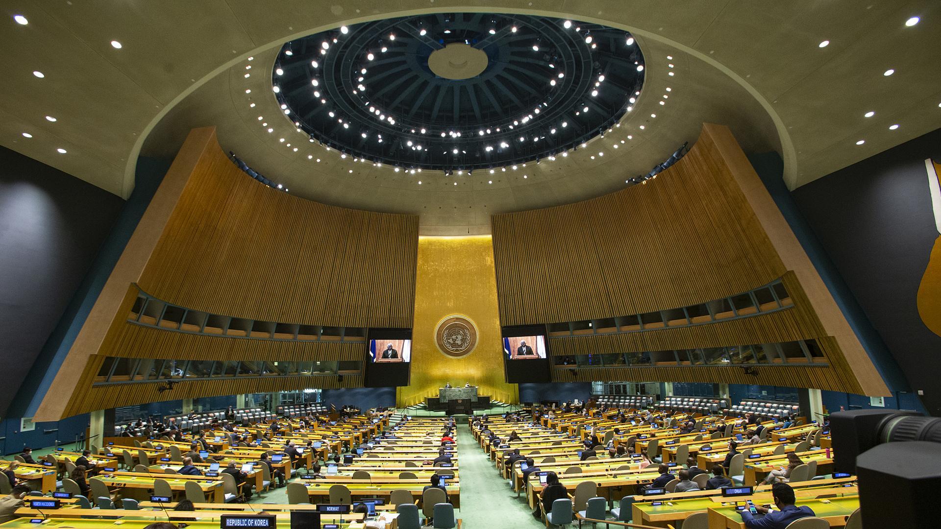 Оон 8 лет. ООН штаб квартира в Узбекистан. Совет безопасности ООН эмблема.
