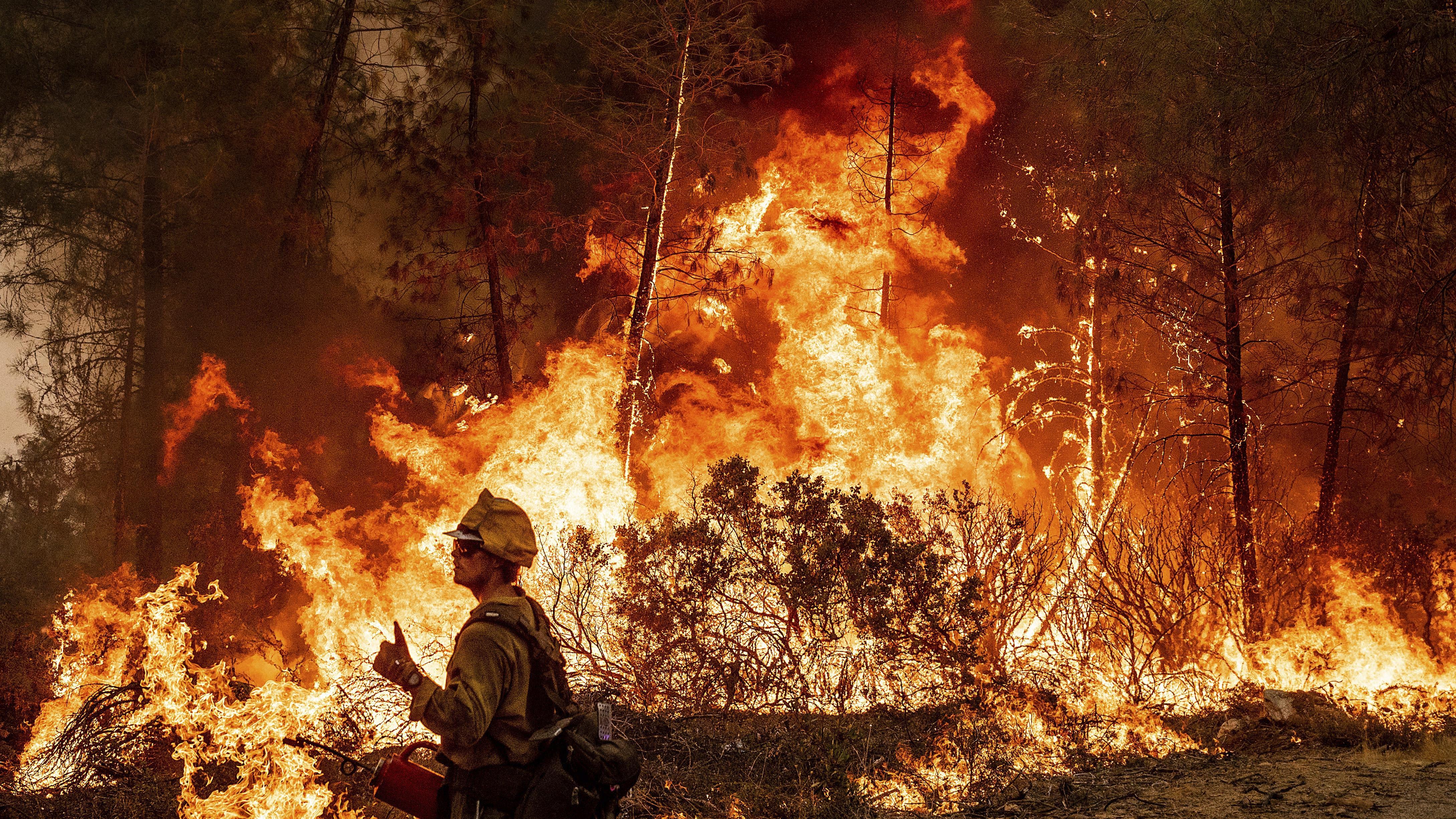 West fire. Лесные пожары. Лес в огне. Пожар в горах. Пожары в Калифорнии.